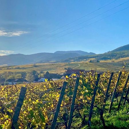 Apartament Le Grasberg Bergheim Zewnętrze zdjęcie
